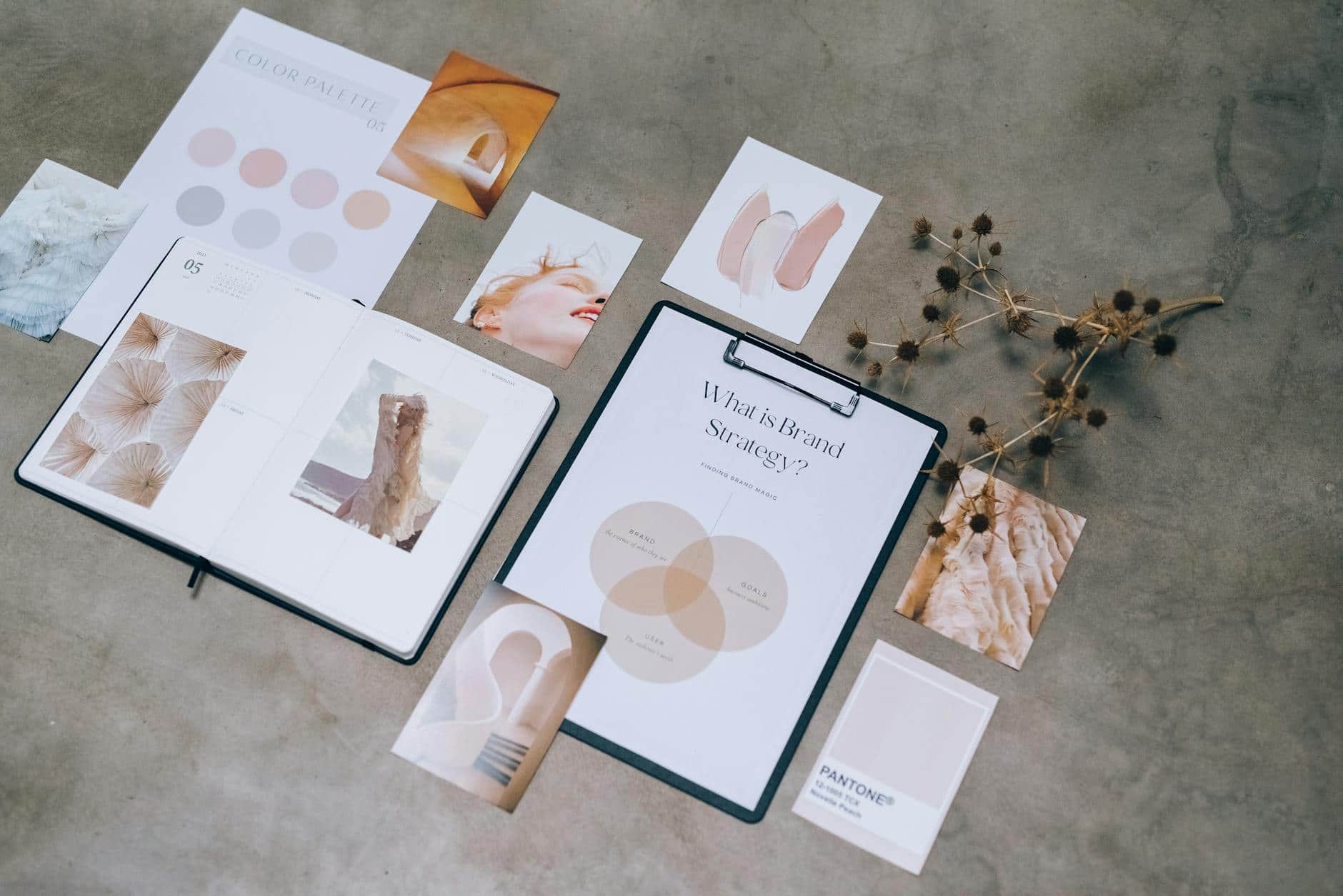 Proceso de branding con paleta de colores y manual de marca